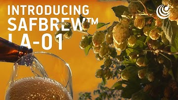 Unlock the Secrets of Exceptional No-Alcohol and Low-Alcohol Beers with SafBrew™ LA-01