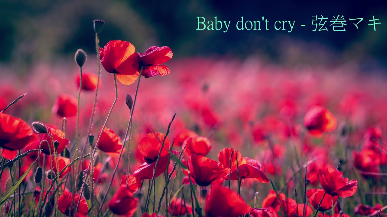 【弦巻マキ AI Lite】Namie Amuro - Baby don't cry【SynthV カバー】