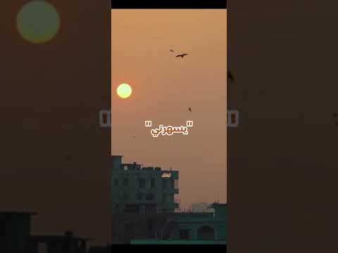 شربت الحب سكرني ولنص الليل يسهرني حالات حالات واتس اغاني عشق حب تحفيز الروح