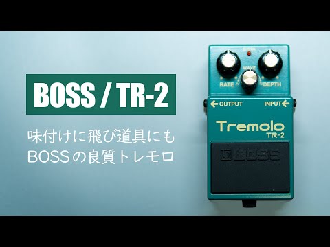 BOSS's Hidden Gem! Exploring the High-Quality Tremolo / BOSS TR 