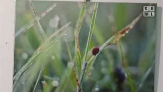 Magiczne makro w Galerii na Styku. Program z 10.02.2012 screenshot 5