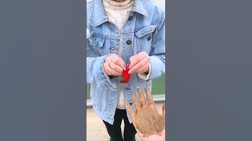 Multifunctionele en handige artikelen in het moderne leven #1231#Riviucomment #Danang #gemak