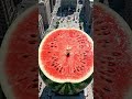 I Jumped Into a Giant 100ft Watermelon 🍉 (Oddly Satisfying ASMR) #asmr #shorts #dreamscreenai #viral
