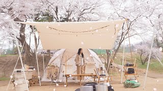 벚나무 아래 감성적인 캠핑🌸ㅣ벚꽃 캠핑 인테리어ㅣ캠핑테리어