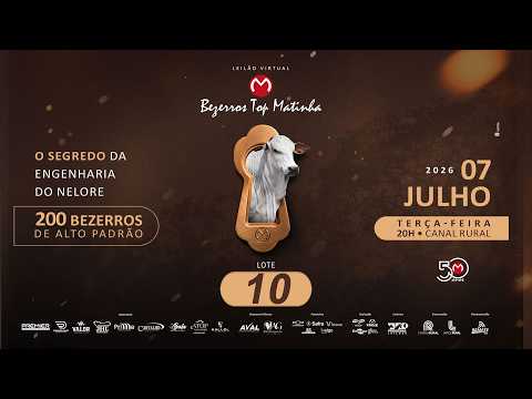 LOTE 10