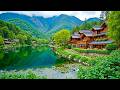 Gentle Relaxing Music 🌿 Soothing Piano Music Helps Heal the Soul, Nature Sounds for Stress Relief #1