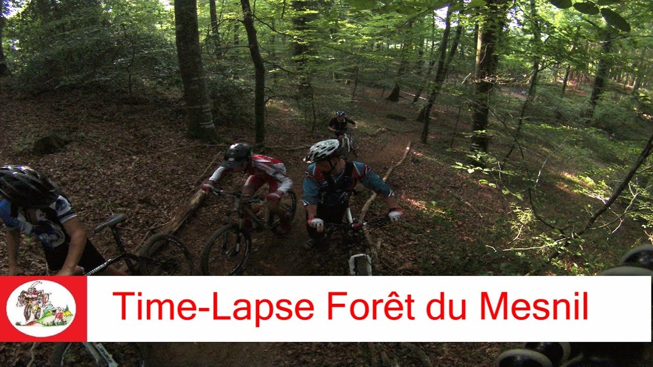 Time-lapse Forêt du Mesnil 27/08/2017
