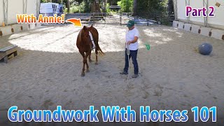 You Need This Groundwork Method For Drive And Draw - Part 2