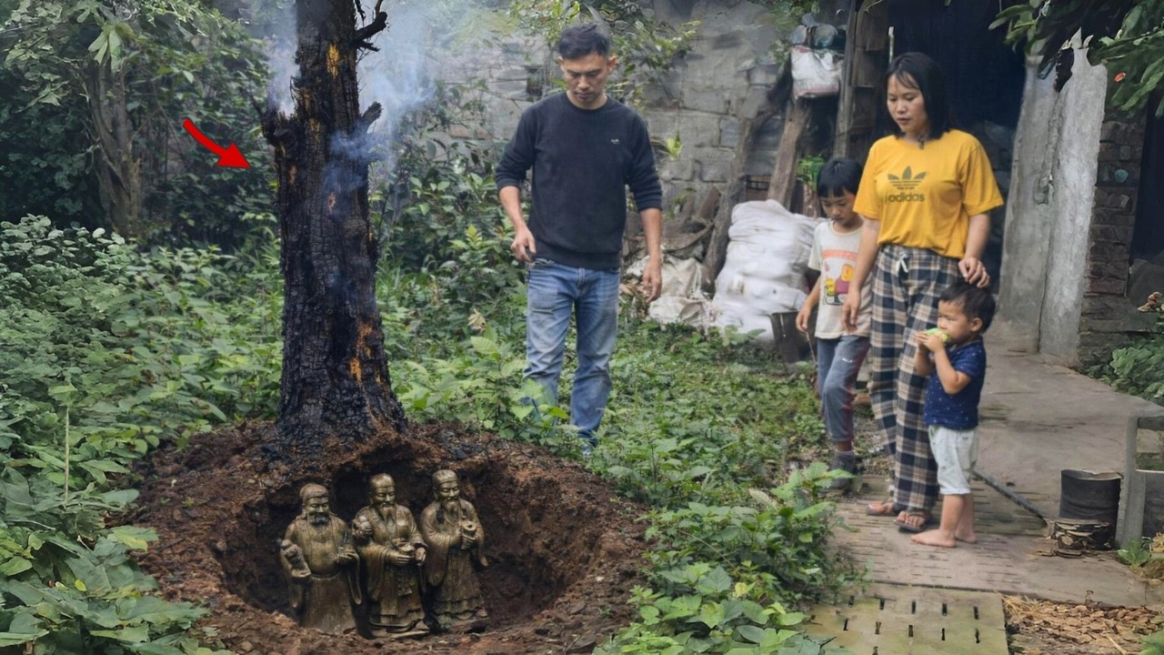 Chấn Động Cổ Vật Bí Ẩn Dưới Gốc Cây Mít Bị Sét Đánh Ch.ết