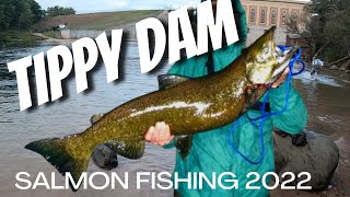 TIPPY DAM SALMON FISHING 2022