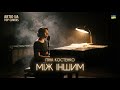 Ліна Костенко Між іншим ARTIO UA TOP COVERS Lyrical Folk Version Ніжний вайб