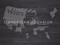 AmericanAquariumVEVO Live Stream