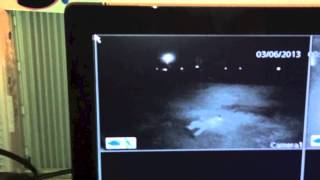Sleepwalking with Chad