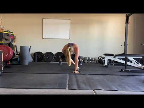 Dumbbell Plank Pull Through Row