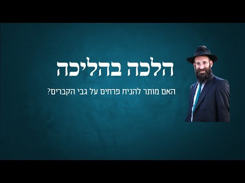 האם מותר להניח פרחים על גבי הקברים?