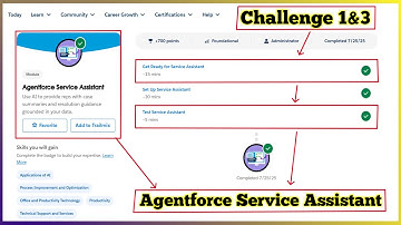 Agentforce Service Assistant | Salesforce Trailhead | Challenge 1 & 3