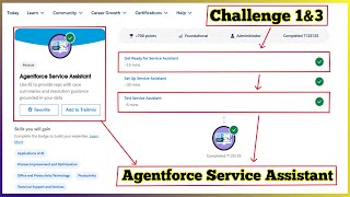 Agentforce Service Assistant | Salesforce Trailhead | Challenge 1 & 3