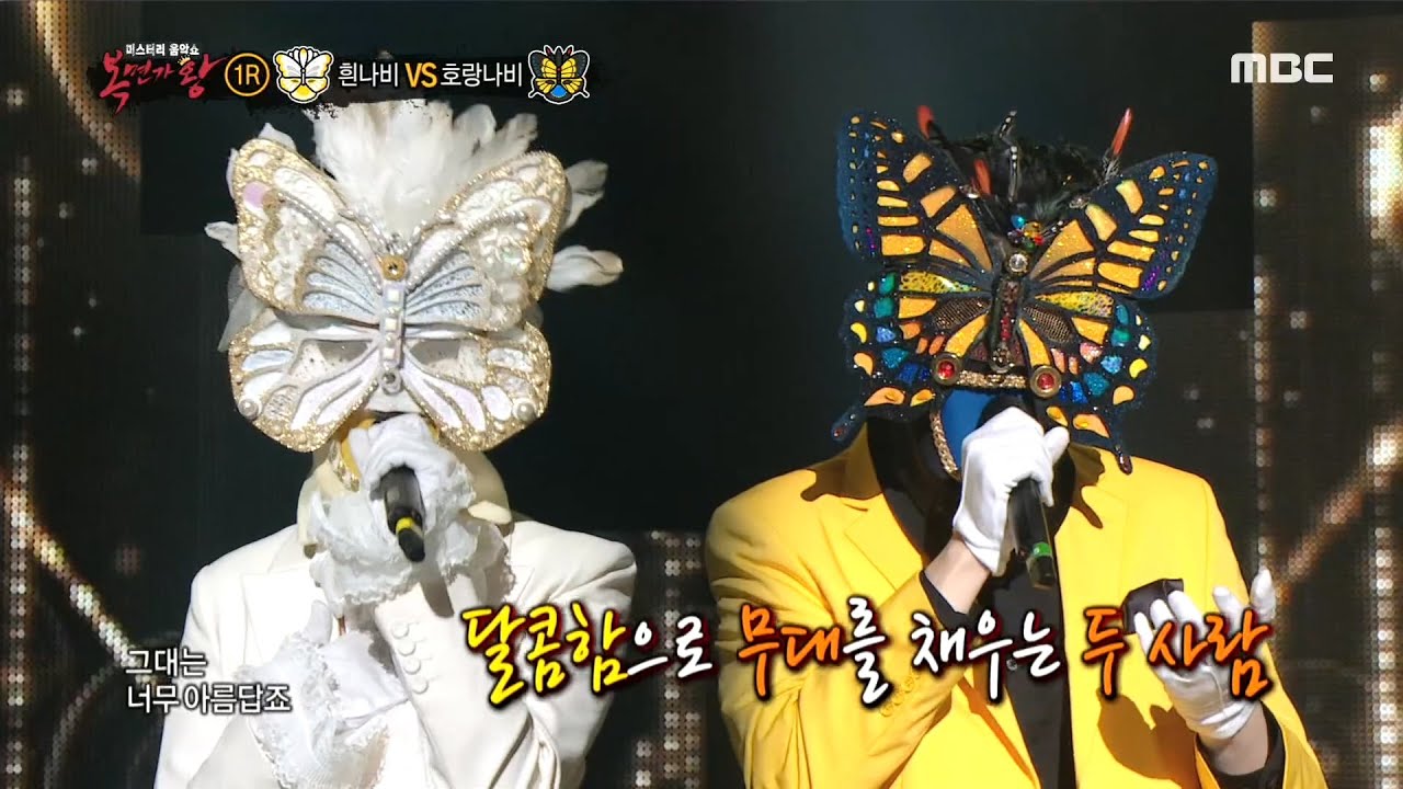 1round] 'White butterfly' vs 'Tiger swallowtail' - I'm in love