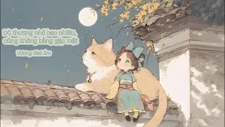 [Vietsub Pinyin]  Dù thương nhớ bao nhiêu, cũng không bằng gặp mặt - Vương Giai Âm || 再多想念不如见面 - 王佳音