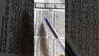 @richarddupey @gazula8196 Lotto NOONRUSH TUESDAY ((#BK21))Carry