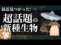 新種の生き物が続々発見！？最近見つかった新しい生き物たち@henchrou