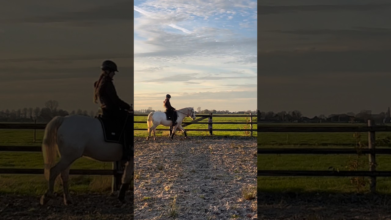 Riding Lesson from My Mom #horses #equastrian