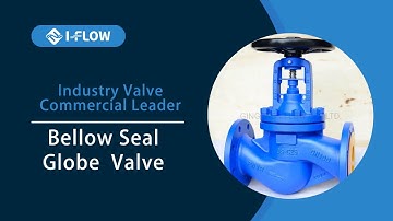 I-FLOW Globe Valve & All Valves EXPLAINED