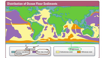 1.3a Seafloor Sediments