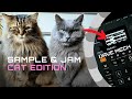 Turn Cats into Purrial Future Garage // Sample &amp; Jam