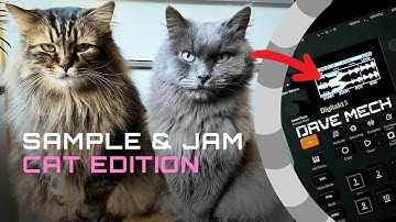 Turn Cats into Purrial Future Garage // Sample & Jam