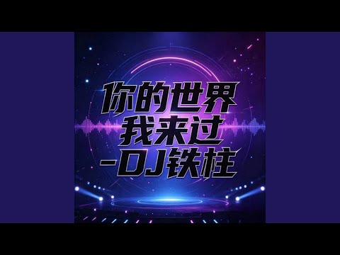 你的世界我来过