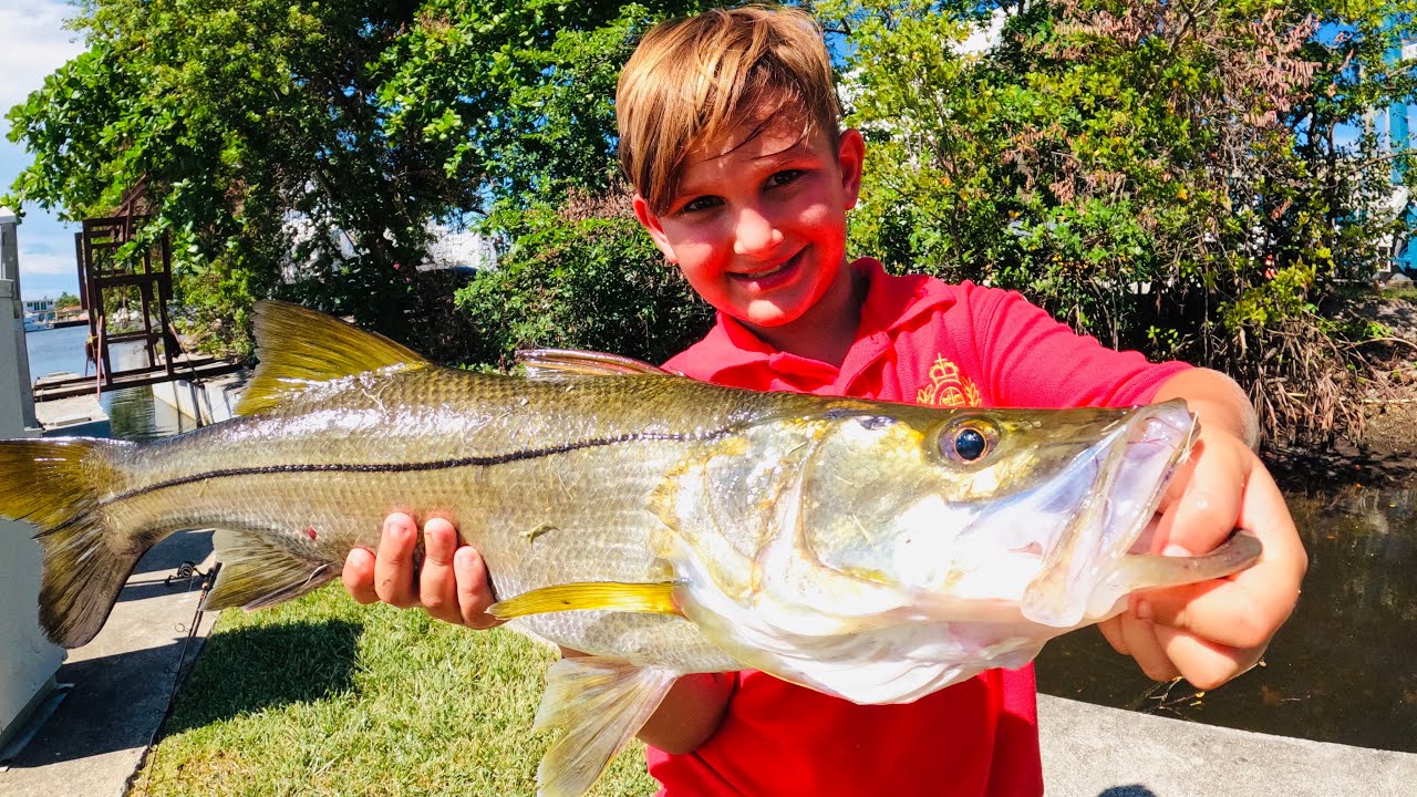 Fishing for MONSTER SNOOK in hidden canals using NLBN lures 