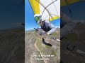 I Saw A Dead Dolphin Flying