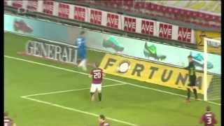 Tomáš Vaclík To The Hall Of Fame