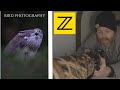 I made the change // BIRD PHOTOGRAPHY with my new Nikon Z6 II - Camera settings