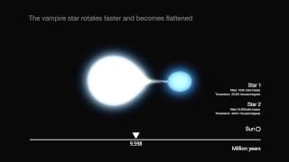 Artist's impression of the evolution of a hot high-mass binary star (annotated version)