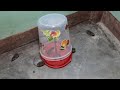 Bucket mouse trap | New type of mouse trap | How To Make Mouse Trap