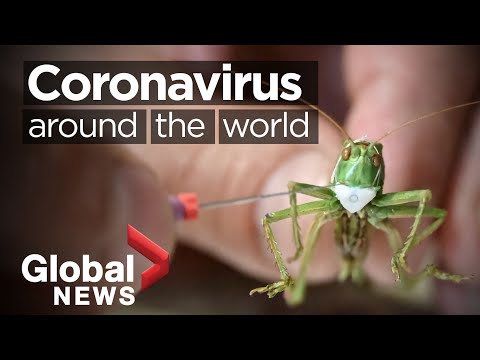 Coronavirus around the world: May 23, 2020