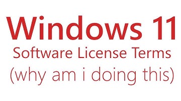 Reading The Entire Windows 11 Software License Terms