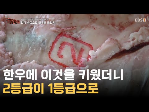 이렇게 했더니 풍미 대박｜꼭 한번 경험하고 싶은 고기 맛을 만드는 비결은?🥩｜#극한직업