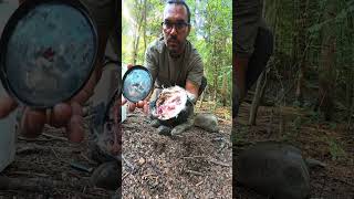 DIY mini feather stove #lifehacks #bushcraft #survival #tipps