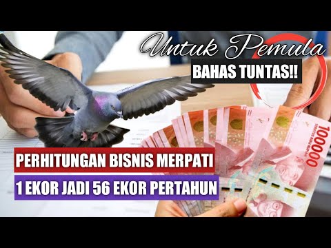 Video: Bekerja sebagai pengemudi di 