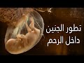 شاهد مراحل نمو الجنين داخل الرحم | مشاهد تعرض لأول مره