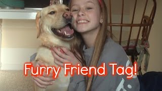 Furry Friend Tag