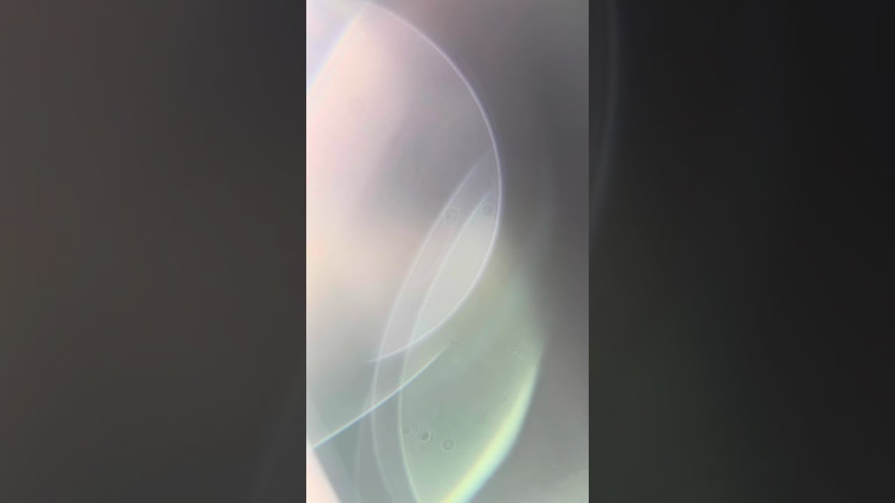 11/13/25 gas raised oil c8 z06 with 1800 miles call w/ savvy Vette owner, zr1 x 6.6L replace 6.2 GS