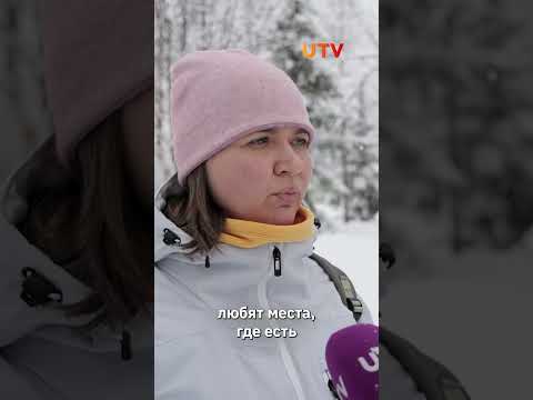 В Уфе пересчитали воробьев