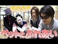【MSSP】ペットショップでネコと戯れてみた　MSSPのオールナイトニッポンｗ#16