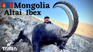 Hunting in Mongolia  Altai Ibex Double!