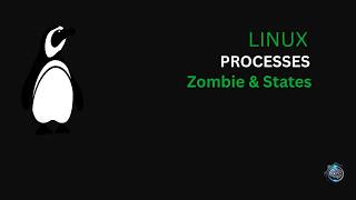 Linux Process Management / लिनक्स प्रोसेस मैनेजमेंट | DeepShell AI Trainer