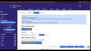 MCP Paypal data extract tools apilabs postman alternative api lab apilabs.ai
